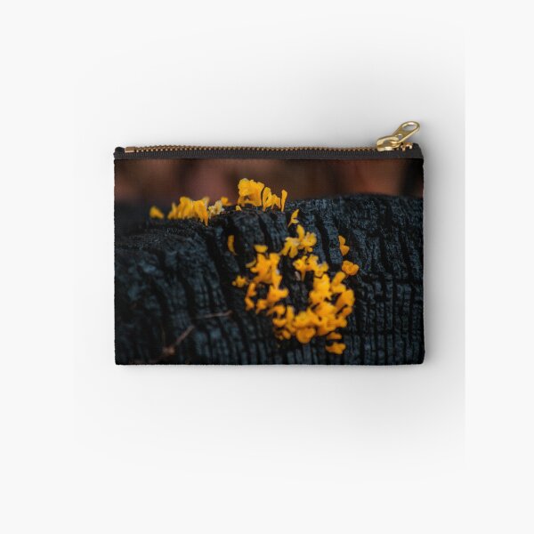 Item preview, D Lawson Photography - Staghorn Fungus designed and sold by Danielle Lawson.