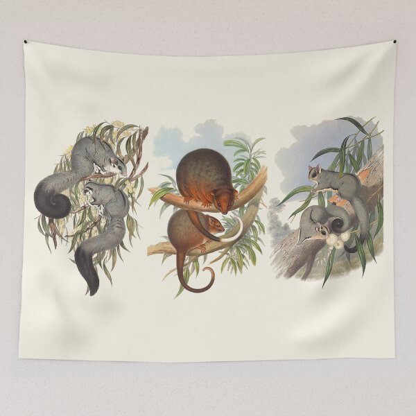 Item preview, Animals Of Australia The Possums designed and sold by JoolyA.
