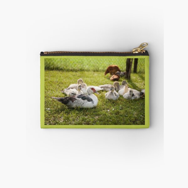 Item preview, Muscovy Duck young birds group designed and sold by Arletta Cwalina.