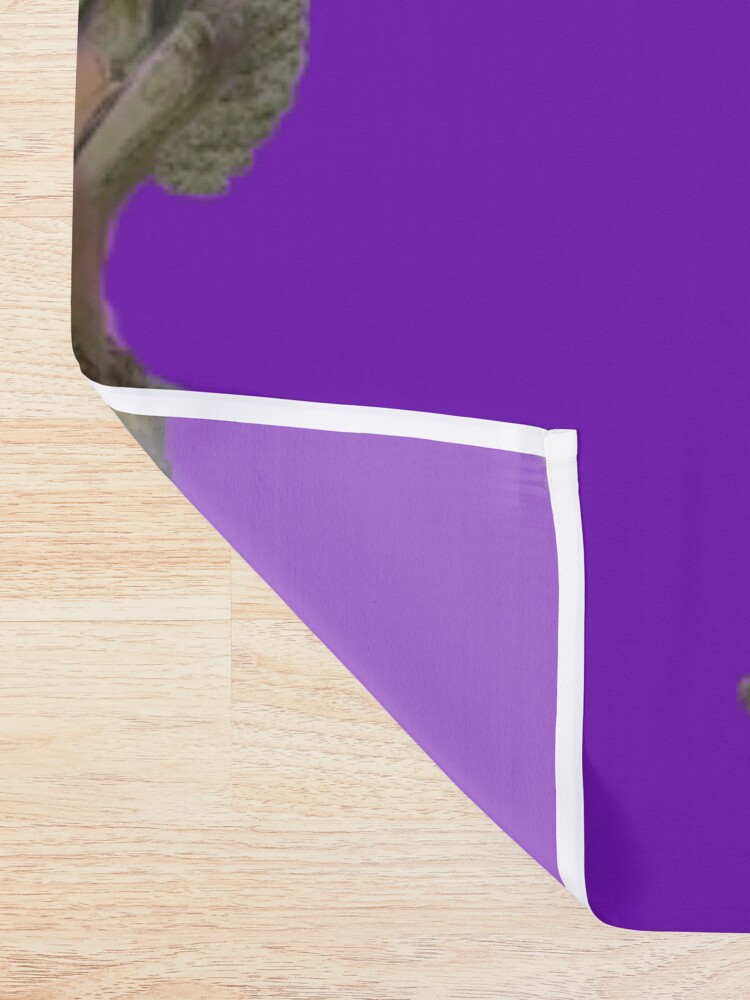 Alternate view of Angkor Wat's Seven Headed Naga Shower Curtain