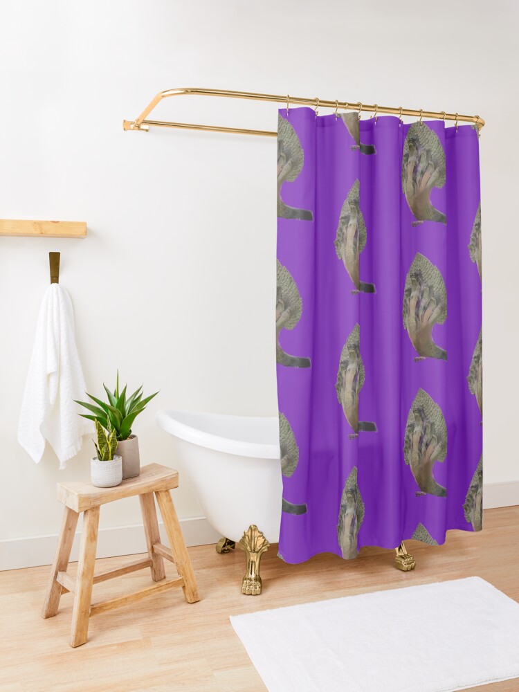 Alternate view of Angkor Wat's Seven Headed Naga Shower Curtain