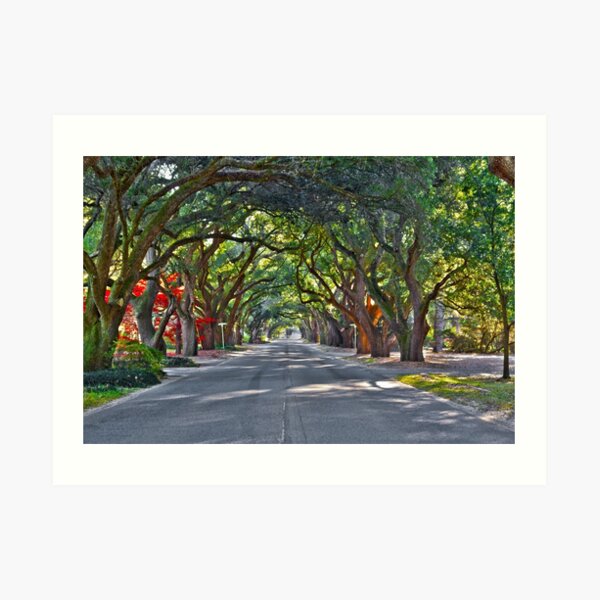 "South Boundary Aiken" Art Print by twocameras Redbubble