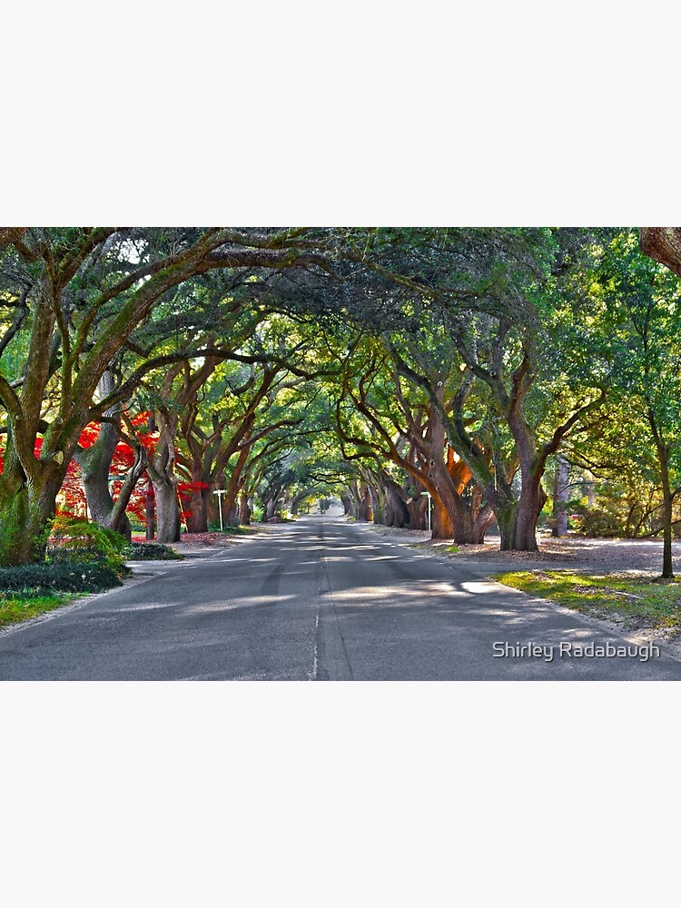 "South Boundary Aiken" Art Print by twocameras Redbubble
