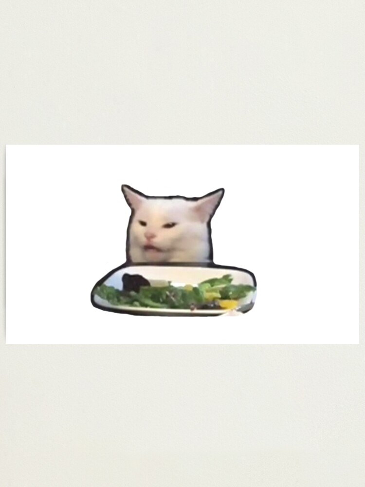 Salad Cat Meme Photographic Print By Starmarkets Redbubble