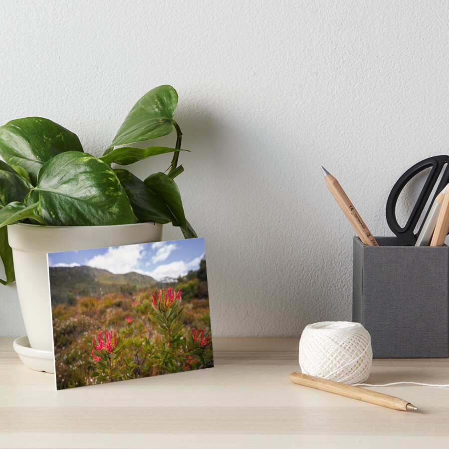 Tasmanian Telopea Art Board Print