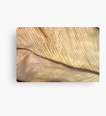 life lines Metal Print