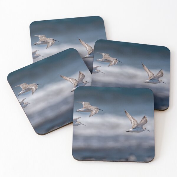 Artikelvorschau, Fliegende Seevögel bei Ballina entworfen und verkauft von Ozjanette90.