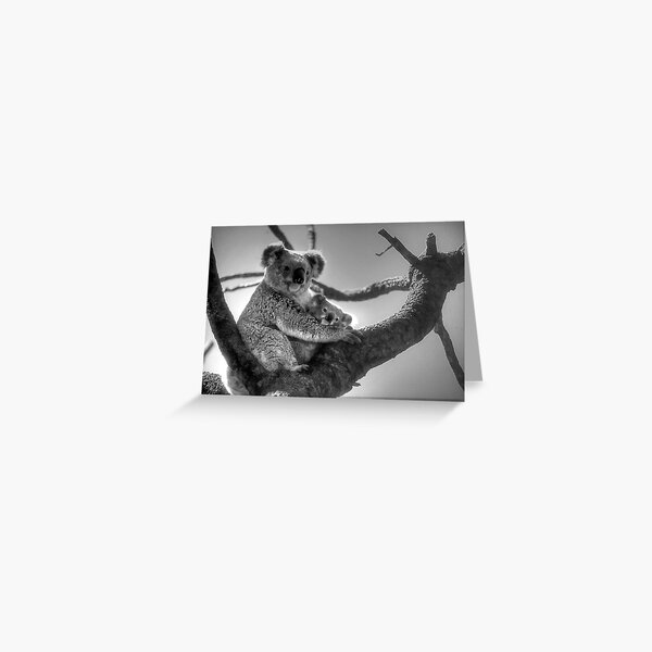 Koala Mum & Baby Greeting Card