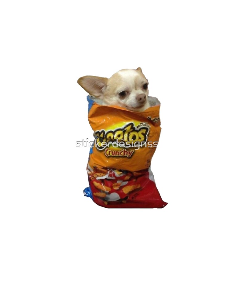 Dog in sale a cheeto bag