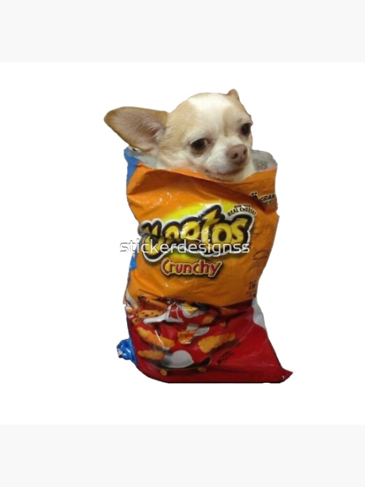 Chihuahua in cheetos bag hotsell