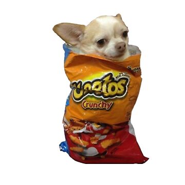 Artwork thumbnail, Dog in bag sticker by stickerdesignss