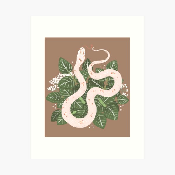 Snake Plant Art Prints for Sale | Redbubble
