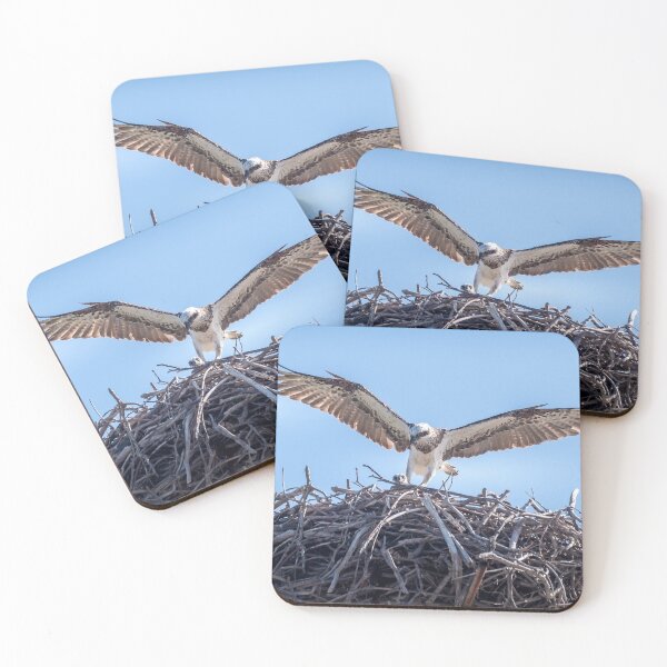 Item preview, The eagle has landed - Eastern osprey designed and sold by Ozjanette90.