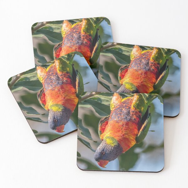 Item preview, Rainbow lorikeet designed and sold by Ozjanette90.