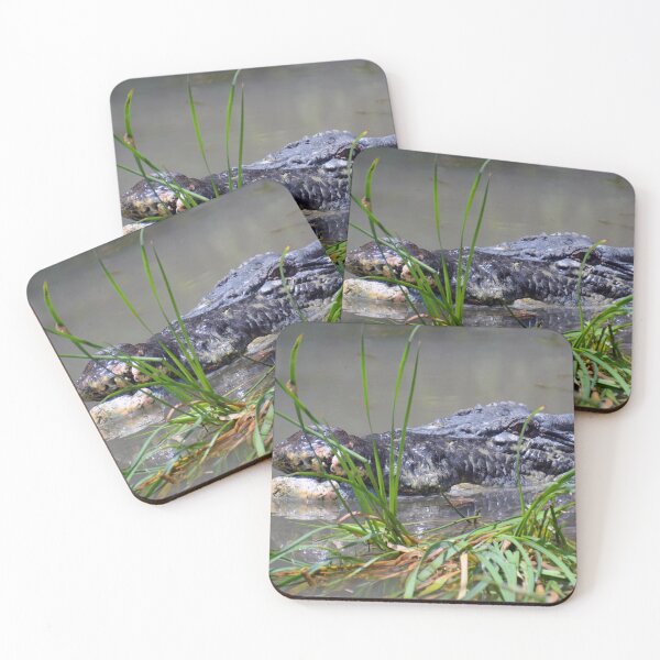 Item preview, Big Ted - Saltwater Crocodile designed and sold by fnq-photography.