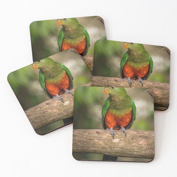 Item preview, juvenile australian king-parrot designed and sold by Ozjanette90.
