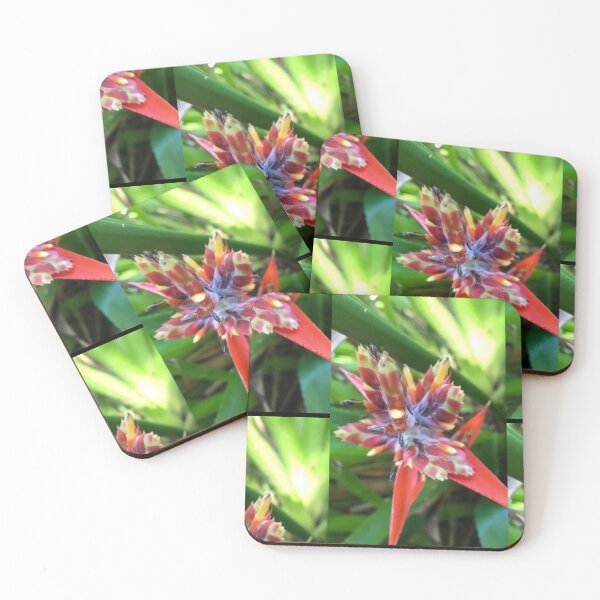 Item preview, Bright bright Starbright! designed and sold by ClearwaterLewis.