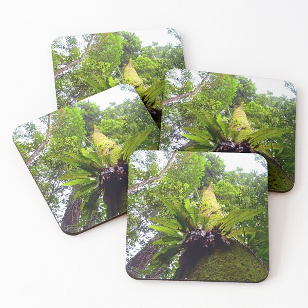 Item preview, Rainforest  designed and sold by fnq-photography.
