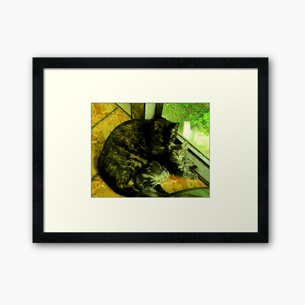 Cousin Opal cares for little Bandit Bear Framed Art Print
