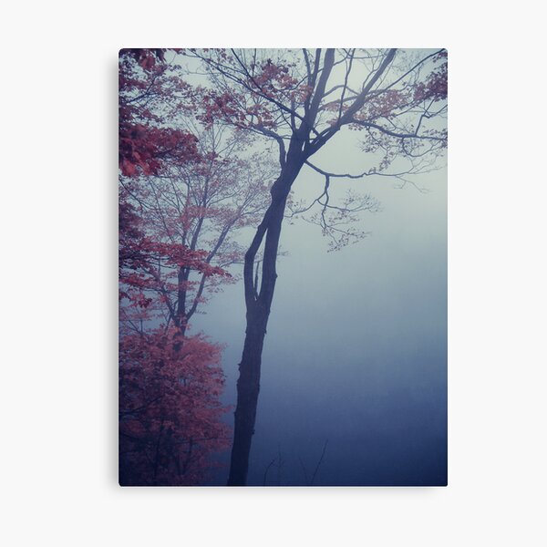 Misty Blue Canvas Print