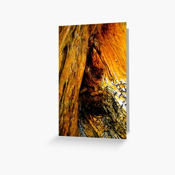 Warped Greeting Card