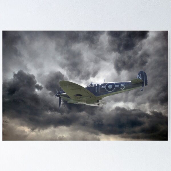 Item preview, Sea Stormbird designed and sold by Dave Godden.