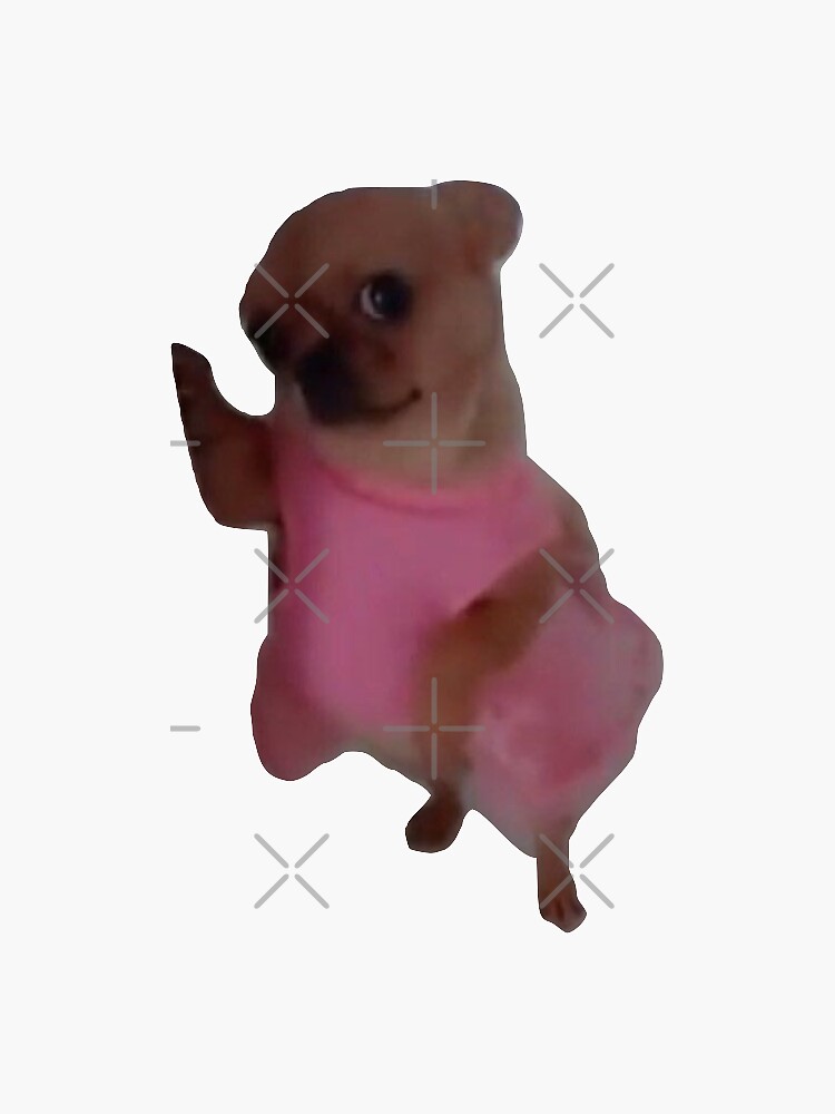 "dog in pink dress meme" Sticker by tayliero Redbubble