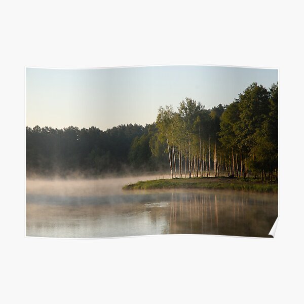 Lake, fog and trees Poster