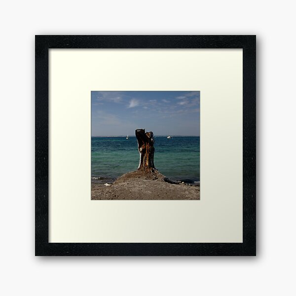 Stump Framed Art Print