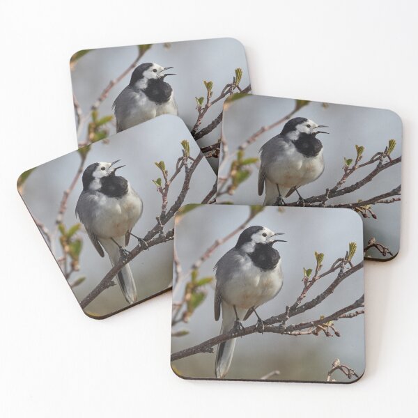 Item preview, Tweet it baby tweet it. White wagtail designed and sold by Jouko Lehto Photography.