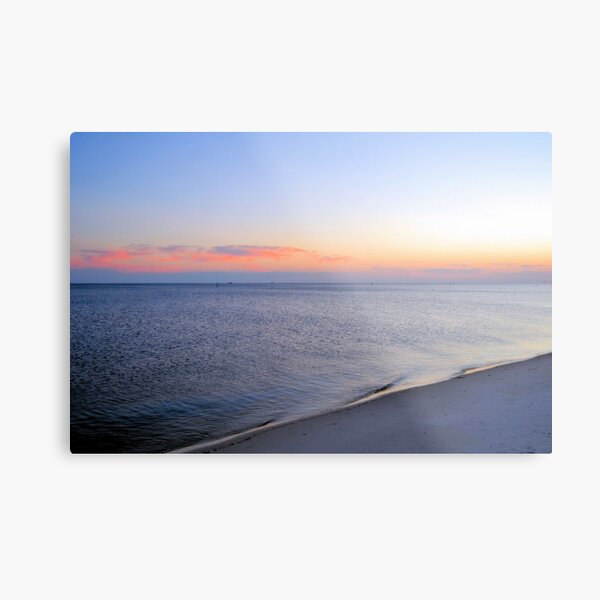 Metal Print
