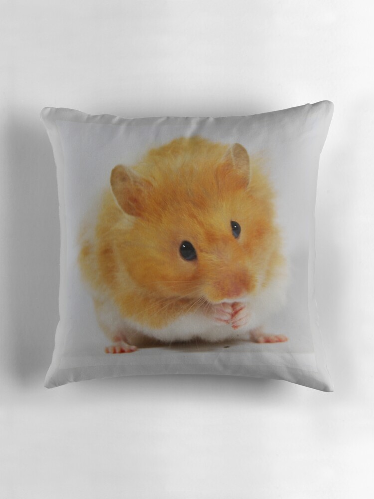 hamster pillow pet