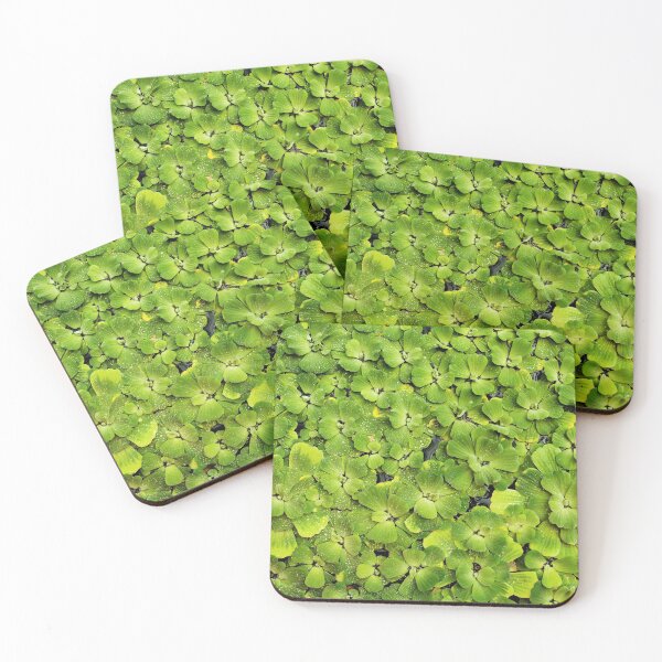 Item preview, Green natural background with pistia water plant designed and sold by dariazu.
