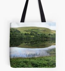 Dol y Mynach reflecting it's beauty. Tote Bag