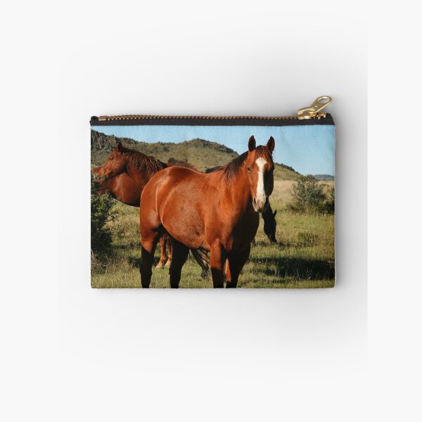 Item preview, Horse Portrait designed and sold by Texas Enfocus Photography.
