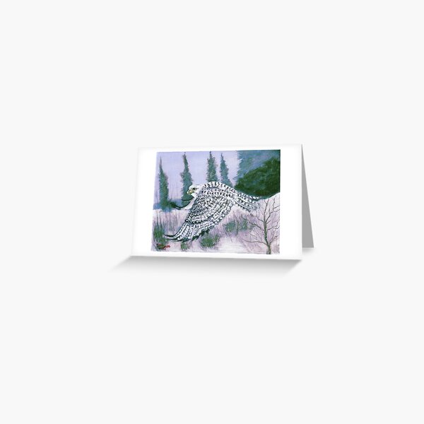 Alaskan Hawk Greeting Card