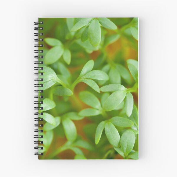Item preview, cress leaves of fresh sprouts designed and sold by Arletta Cwalina.