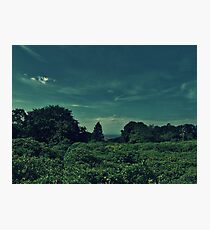 Viewpoint Photographic Print