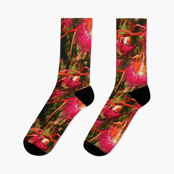 Item preview, Gorgeous Australia Gum Flowers designed and sold by Rebeccadalton.