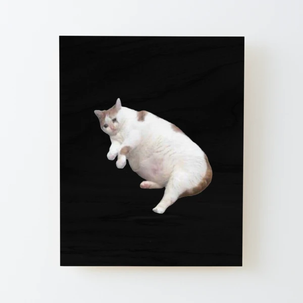 An image of the classic crying cat meme printed on anything you want to  purchase:). Thank you, money goes towards colleg…