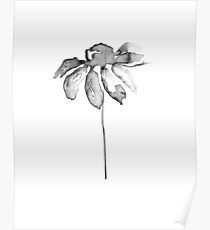 Flower Lithograph Print Poster