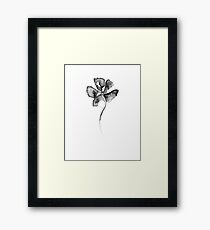 Flower Lithograph Print Framed Print