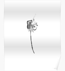 Flower Lithograph Print Poster