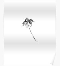 Flower Lithograph Print Poster