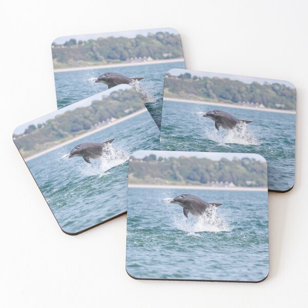 Item preview, dolphin eating a fish designed and sold by chanonry.