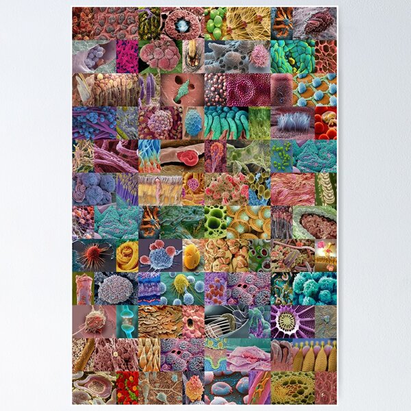 Item preview, Electron Microscope designed and sold by Montage-Madness.