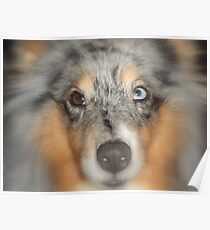Blue eyed girl Poster