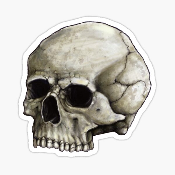 Schädel Sticker