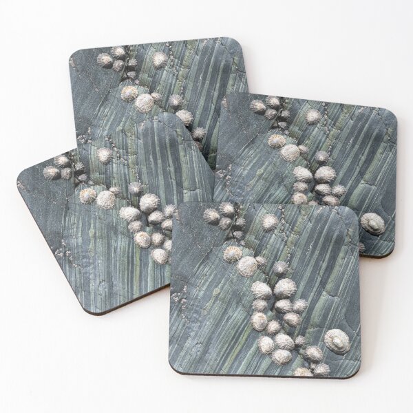 Item preview, Cadgwith Limpets designed and sold by ccullen222.