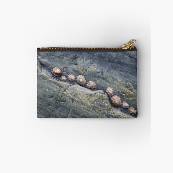Item preview, Cadgwith Limpets #2 designed and sold by ccullen222.